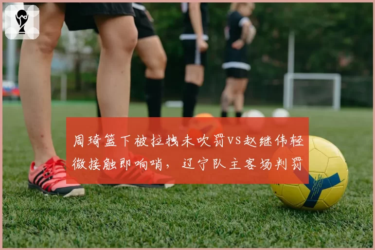 周琦篮下被拉拽未吹罚vs赵继伟轻微接触即响哨，辽宁队主客场判罚待遇天差地别